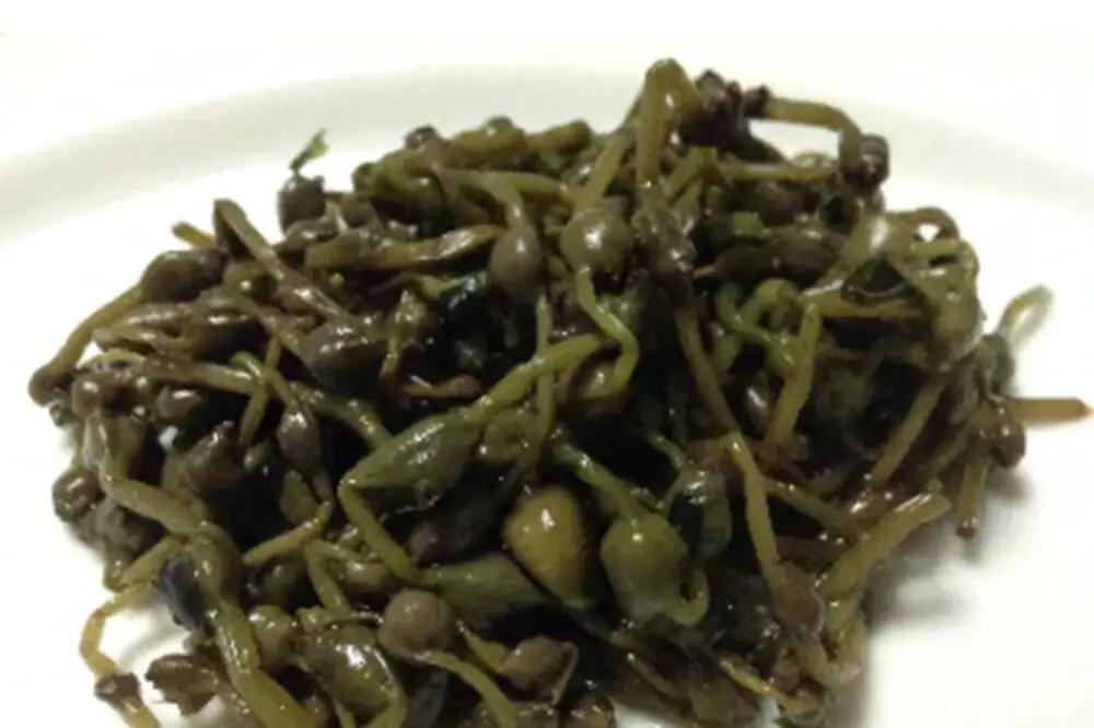 みそ・漬物詰め合わせ 旭醤油味噌醸造元【秋田みそ（こし）・花火漬（みそ漬け）・花火漬（みずの実）・花火漬（しその実）・麹のふかしなす】C-1