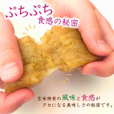 ぷちぷち食感がたまらない「発芽玄米餅」　2袋　新潟県弥彦村産「こがねもち」100%使用【1554472】