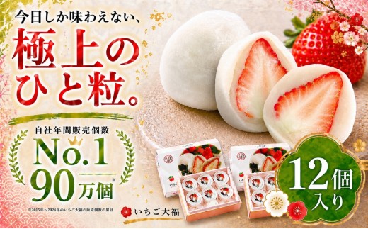 【先行予約】「まるごとワイド」で絶賛！午前0時のいちご大福6個入2箱　| 菓子 和菓子 生菓子 だいふく 白あん あんこ お土産 おやつ スイーツ 期間限定 静岡県 伊豆の国市