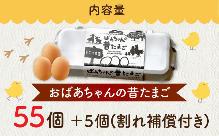 ばあちゃんの昔たまご 55個+5個（割れ補償付き） / 平飼い卵 / 佐賀県 / 素ヱコ農園 [41AEAA003]