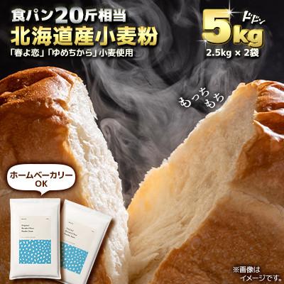 ふるさと納税 室蘭市 北海道産 「春よ恋」「ゆめちから」ブレンド小麦粉 パウダースノー(パン用強力粉)5kg