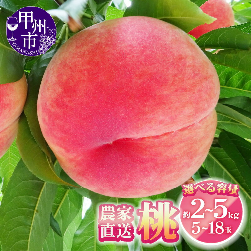 【ふるさと納税】 桃 もも フルーツ 選べる 内容量 約2kg 約3kg 約5kg 5～18玉 厳選 新鮮 農家直送 2025年 6月 7月 8月 9月 発送 果物 くだもの モモ 産地直送 白鳳系 白桃系 期間限定 数量限定 旬 名産地 ギフト 贈答 家庭用 山梨県 甲州市（YKI）