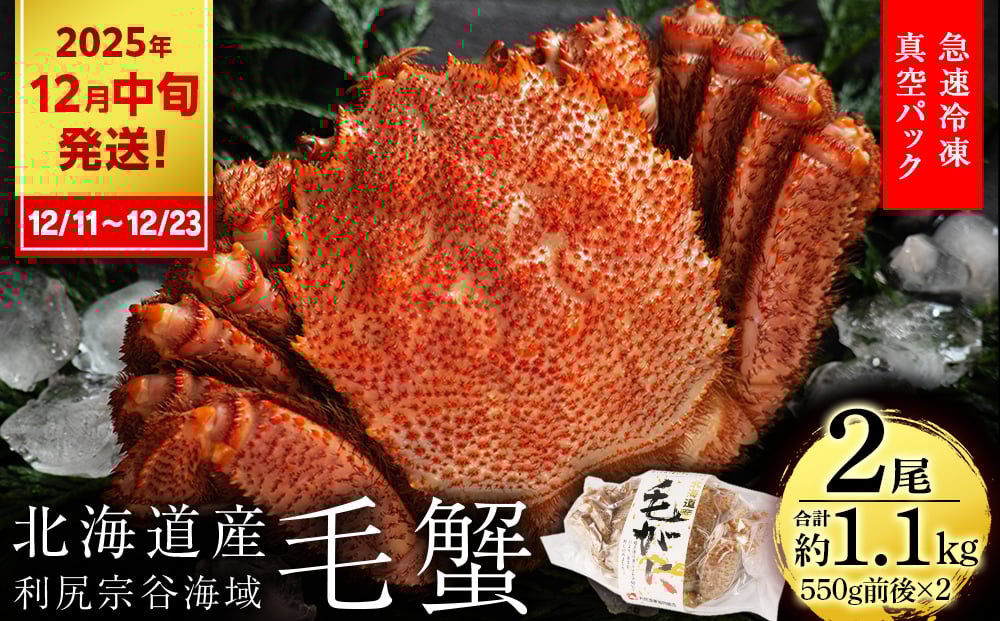 
            【2025年12月11日～12月23日発送】 毛ガニ 中小サイズ（550g前後） 2尾セット＜利尻漁業協同組合＞
          