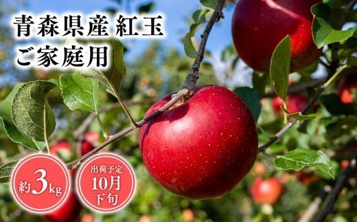 
                  2026年産１０月発送　【訳あり】家庭用紅玉3kg【青森県 平川市 そと川りんご園】
                