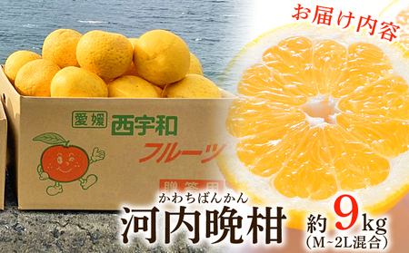 ＜愛媛県産 河内晩柑 約8kg（M～2L）＞ 柑橘 みかん フルーツ 和製グレープフルーツ ジューシー 初夏 旬 サイズ混合 西宇和 国産 さっぱり 甘い 農園オレンジとムラサキ 西予市【常温】『20