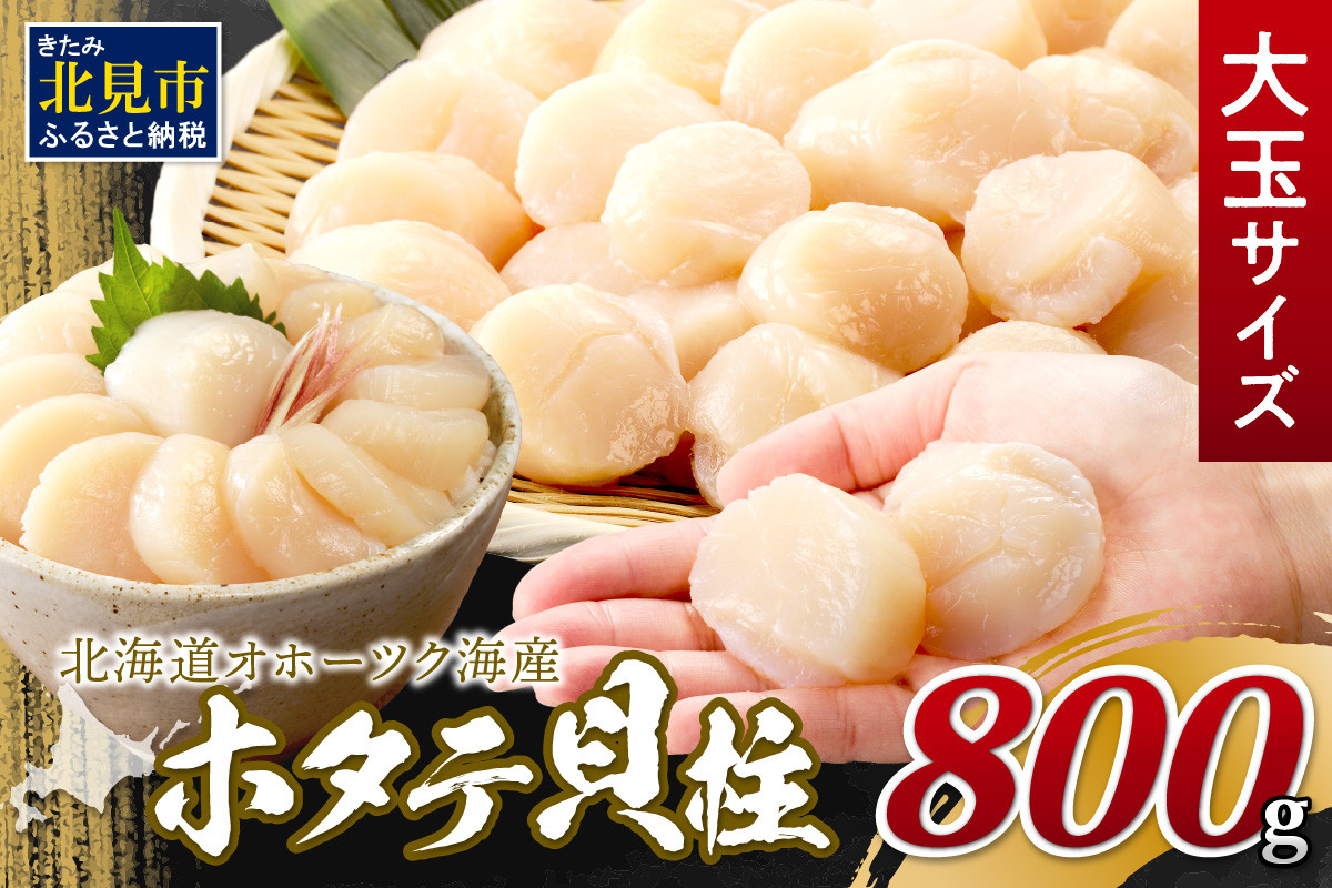 
            【選べるお届け月】北海道オホーツク海産 ホタテ貝柱 800g 生食用 大玉サイズ ( 海鮮 魚介 魚介類 貝 貝類 帆立 ほたて お刺身 刺身 貝柱 海鮮丼 帆立貝柱 人気 ふるさと納税 ホタテ )【037-0015】
          