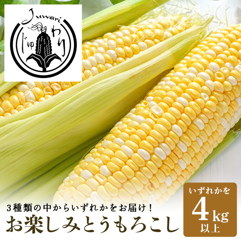 【ふるさと納税】 ＜2025年夏発送＞ お楽しみとうもろこし（ドルチェドリーム / ゴールドラッシュネオ / ピュアホワイトSPのいずれか） 4kg以上 とうもろこし トウモロコシ 朝採り 産地直送 期間限定 訳あり お任せ おまかせ ランダム 野菜 41-D