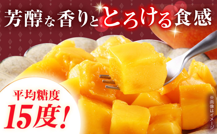 【冷凍】プリンセスマンゴー 約1kg [QAT013] [QAT013]
