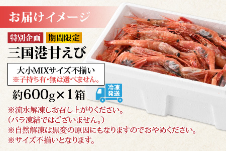 【特別企画】【訳あり】三国港から産地直送！「三国港甘えび」 500g + 100g 合計約600g ～本場の濃厚な甘海老を是非ご賞味ください！～ 【わけあり ワケアリ 濃厚 甘い 刺身 生食可 生 冷