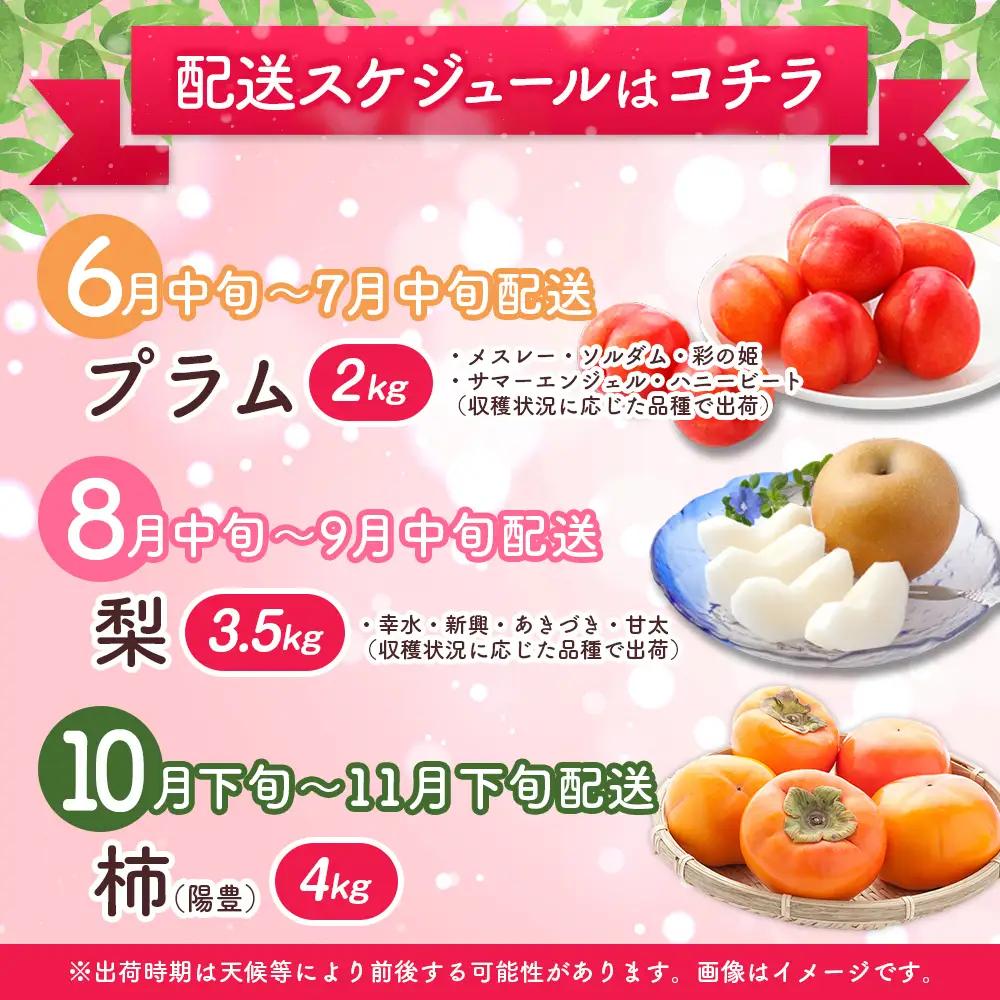 26年10月開始予定 フルーツ 旬の厳選 プレミアム便  全3回  柿 プラム 梨 果物 E268-01
