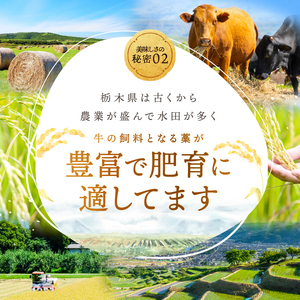 焼肉野村屋の牛もつ煮 | 栃木県 下野市