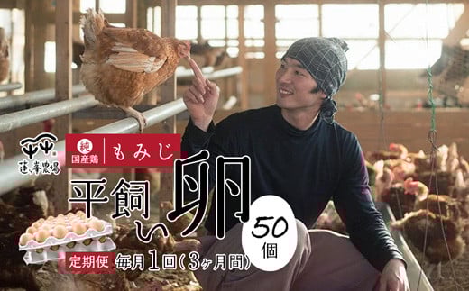 【定期便3ヶ月】 平飼いたまご 50個×3ヶ月間 【 卵定期便 たまご定期便 平飼い卵 非遺伝子組み換え 自家配合 たまご タマゴ 平飼い 卵 国産 純国産鶏 もみじの平飼い卵 京都奥丹波 綾部 京都 蓮ヶ峯農場 】
