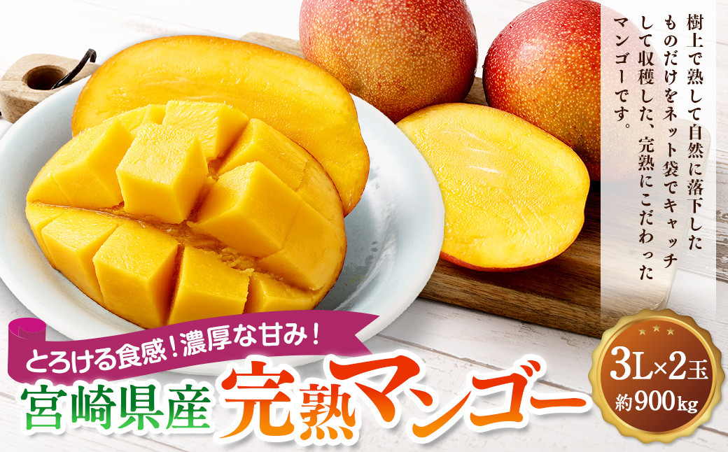 
            ＜宮崎県産完熟マンゴー 3L×2玉（約900g）＞2026年4月中旬～7月下旬までに順次出荷 果物 くだもの フルーツ アーウィン マンゴー デザート 甘味 完熟 宮崎
          