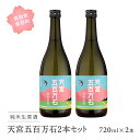 【ふるさと納税】稲田姫 天宮純米原酒2本セット 日本酒 720ml × 2本 純米原酒 お酒 酒 さけ sake 地酒 セット 稲田姫 食中酒 稲田本店 鳥取県南部町