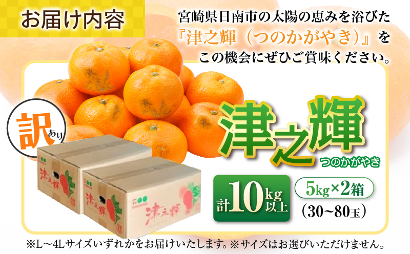 先行予約 訳あり 津之輝 つのかがやき 10kg 希少 L ～ 4L サイズ不揃い フルーツ 果物 くだもの 柑橘 みかん 蜜柑 2027年 令和9年発送 国産 食品 おすすめ デザート みかんジュー