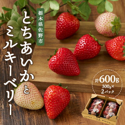【ふるさと納税】栃木の白いちご ミルキーベリー とちあいか MIX　300g×2パック【配送不可地域：離島】【1525933】