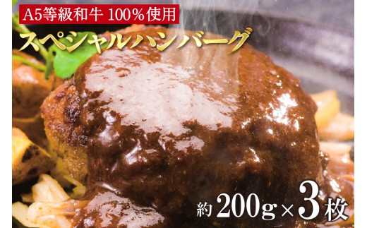 A5等級和牛100％　肉や大善スペシャルハンバーグ（2116）