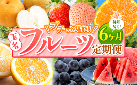 【 定期便 6回 】 プチっと 堪能 ！ 人気 フルーツ  ｜ （ いちご 白いちご みかん 不知火 デコポン スイカ ぶどう 梨 柿 果物 ）  定期便 定期 フルーツ 果物