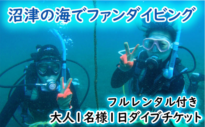 ファン ダイビング チケット 大人 1名 1日 2ビーチ ダイブ フルレンタル 込み 沼津 伊豆 半島 アクティビティ 遊び マリンスポーツ マリンアクティビティ スキューバ ダイビング 海 大瀬崎 