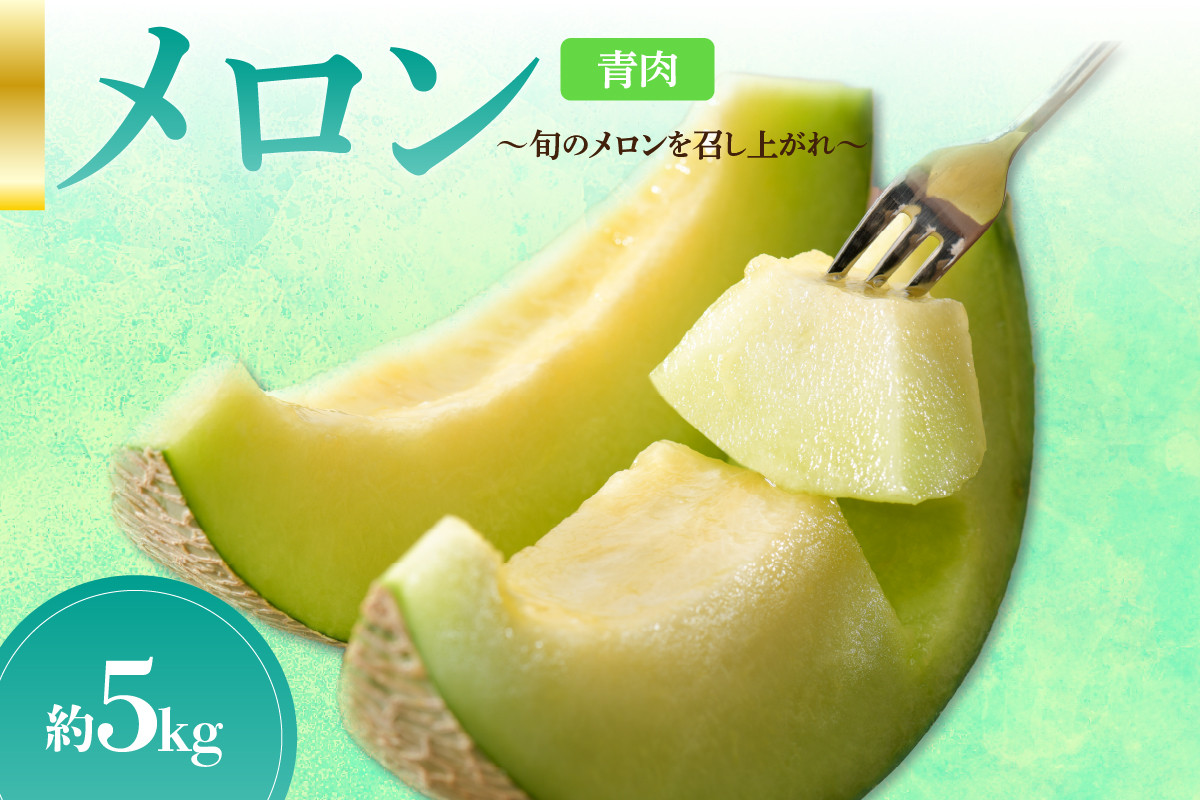 
            【2025年先行予約】【秀～優品】メロン 約5kg 程度( 青肉 ) 津軽平野のメロン 【選べる配送時期】7月 8月 青森
          
