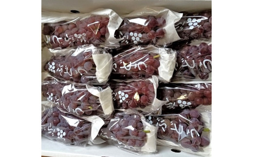 ぶどう（デラウェア）２ｋｇ　0142-2502