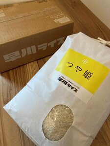 【令和5年産米】早川ライスの山形県産「つや姫」精米5kg×1袋_A162(R5)