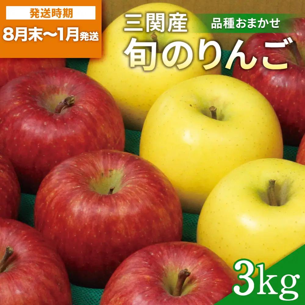 三関旬のりんご 秀品 3kg (8玉～12玉) りんご [M15101]