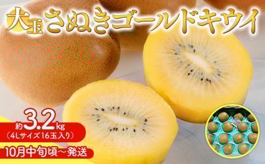 
            【10月中旬頃～発送】さぬきゴールドキウイ 大玉 約 3.2kg
          