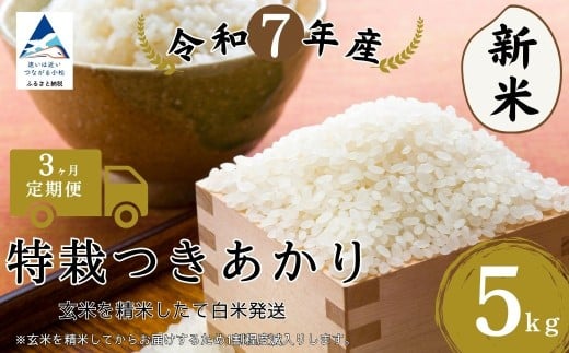 【3ヶ月定期便】特栽つきあかり 精米 白米 （玄米5kgを精米したて白米発送）令和7年産 こしひかり | 石川県 小松市【のむら農産】