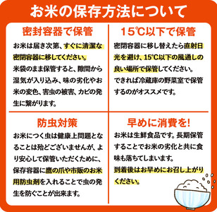 n356 ＜先行予約受付中！2025年8月頃より順次発送予定＞＜訳あり・未検査＞早場米コシヒカリ！島のめぐみ げんき米(10kg) 鹿児島県産 種子島 こしひかり 未検査米 簡易 パッケージ 米 お米