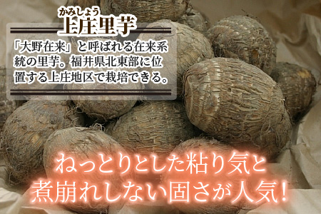【先行予約】日本の美味い里芋！秋の味覚 上庄里芋 3kg【11月より順次発送】 [A-001005]