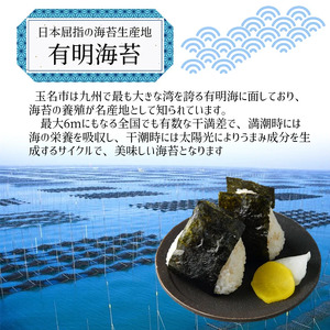 《 訳あり品 》 九州有明海産海苔 半切100枚 （ 100枚 × 1 ） | 魚貝類 海産物 海苔 のり 焼海苔 焼き海苔 半切り 熊本県 玉名市