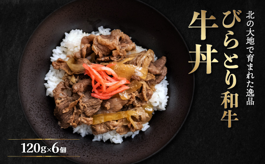 びらとり和牛牛丼120ｇ6個 BRTB033