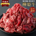 【ふるさと納税】 牛肉 和牛 切り落とし 九州産 黒毛和牛 樺姫牛 切り落とし 1kg （500g×2パック）牛 肉 お肉 切落し きりおとし 冷凍 送料無料