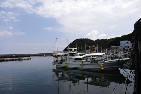 【数量限定】佐田岬海士の黒赤あわび【4/15～10/25の漁解禁日に合わせて発送】※北海道・東北地方・沖縄・離島への配送不可 【 あわび アワビ 鮑 黒あわび 赤あわび 】 IKTJ014