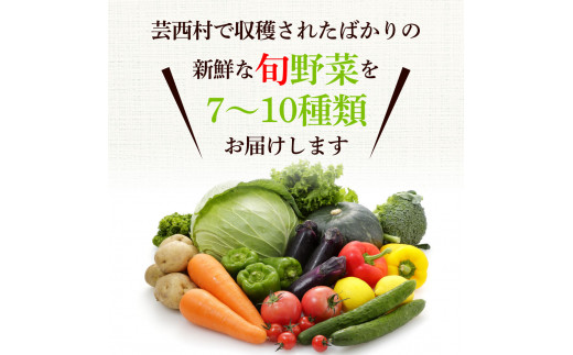どっさり！新鮮野菜の詰合せ 7～10種類 ピーマン 茄子 なす ナス おまかせ 特産品 野菜 やさい 野菜セット おかず 健康 新鮮 詰め合わせ お楽しみ お取り寄せ 通販_イメージ3