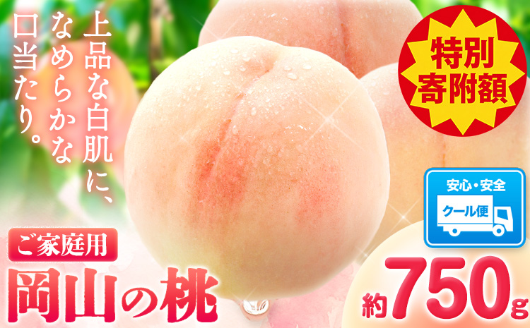 ＼豊作につき特別寄附額／ 最短翌日発送！ 岡山の桃 約750g 《1-5営業日出荷》 ご家庭用 訳あり 白桃 岡山 旬 モモ もも 先行予約 送料無料 果物 岡山県 笠岡市 清水白桃 白鳳 白麗 クール便