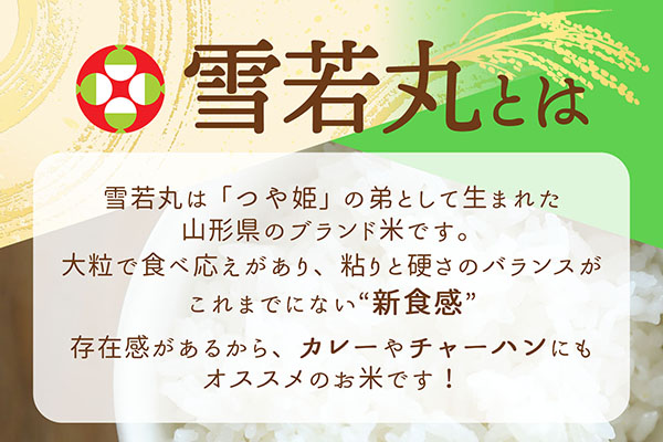 【定期便】雪若丸 玄米 パックごはん 160g×12個×6ヶ月 毎月お届け 有機黒米入り 山形県庄内町産 保存食 非常食 備蓄 防災 レンジで2分 レンチン 時短 簡単調理 ローリングストック【9月中