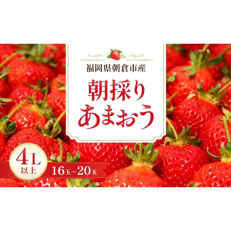 いちご 朝倉市産 あまおう 4L以上 16玉～20玉 いちご