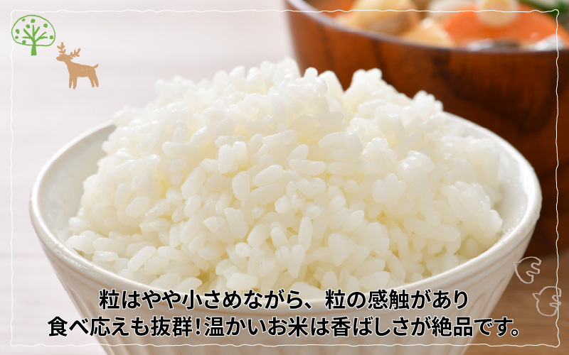 【新米・先行予約】【令和4年産】ピロール農法 コシヒカリ 白米 5kg（5kg × 1袋）真空パック【10月以降順次発送】