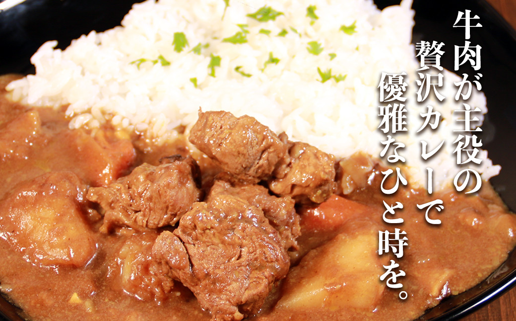 【訳あり】具だくさん やわらか牛ヒレひもカレー 250g×6パック 計1.5kg
