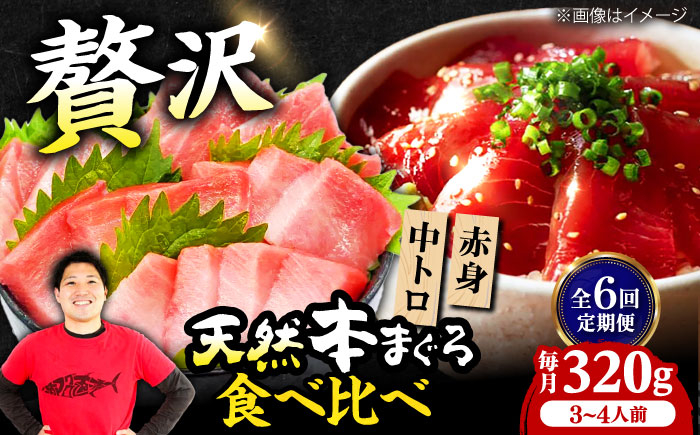 
            【全6回定期便】極上！たね熟天然本まぐろ赤身＆中トロセット(320g 各160g) 天然 マグロ 鮪 中トロ 刺身 魚 赤身 魚介類 海鮮丼 本マグロ 本まぐろ 中トロ 大トロ 赤身 冷凍 お刺身 お寿司 大阪府高槻市/本まぐろ直売所 [AOCE041]
          