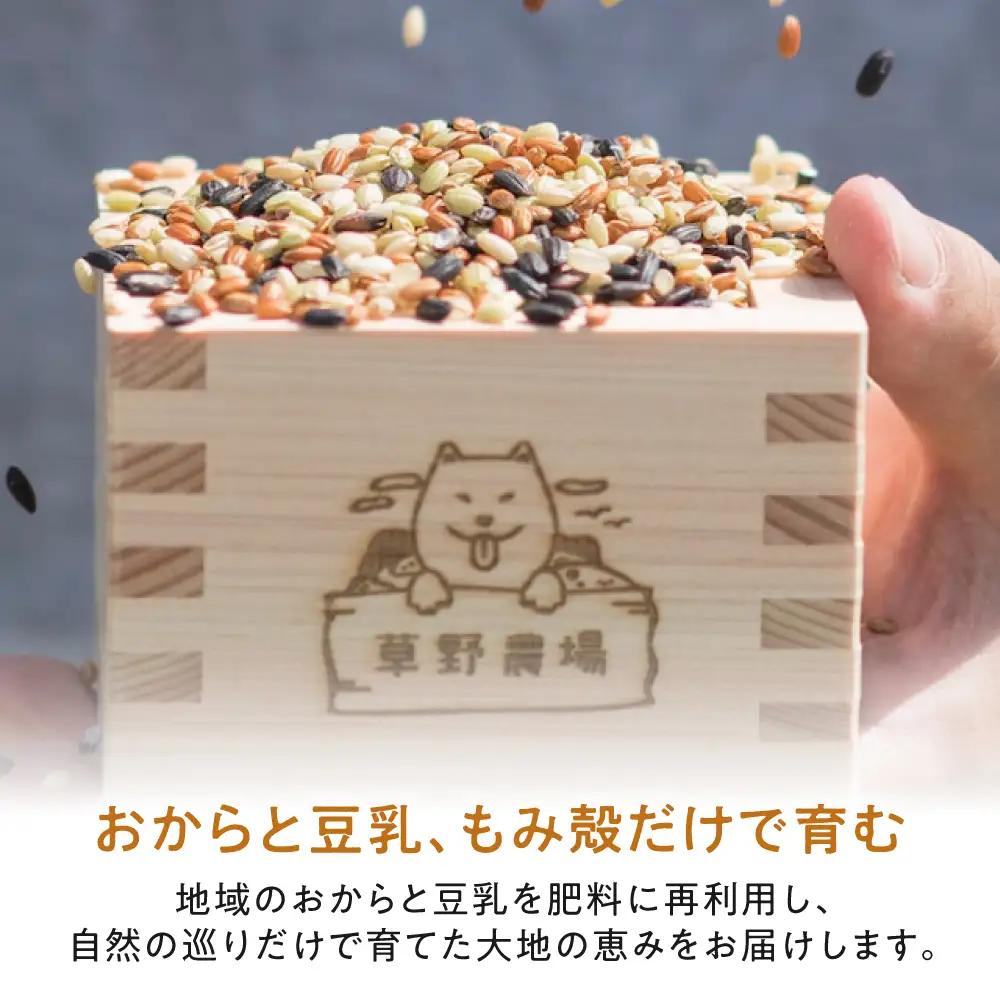 五色米入り甘酒の素1080g[AQDT005]甘酒