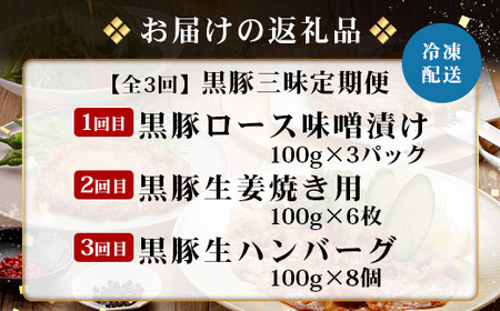 ≪全3回≫ 鹿児島県産 黒豚三昧 定期便 ♪ ＜ 黒豚味噌漬け 生姜焼き 生ハンバーグ ＞ ★☆＼＼ 黒豚ロース味噌漬け バナナマンの早起きせっかくグルメで紹介されました！！／／☆★ 南州農場 かごし