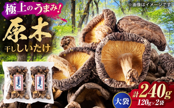 
                  原木 干ししいたけ 大袋240ｇ（120ｇ×2袋） 【すみれファーム】 [ZEP069]
                