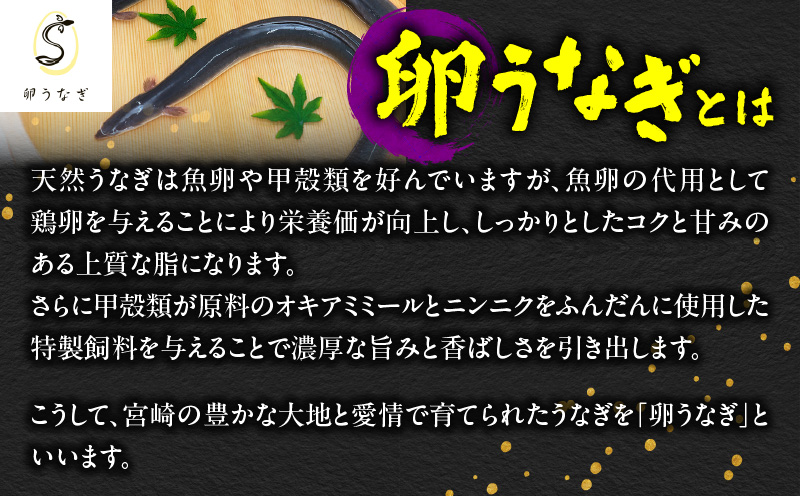 1643-1 九州産 卵うなぎ 備長炭手焼 『鯉家匠うなぎ』の蒲焼 3尾 計450g　KN029-005-02