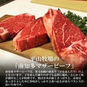  数量限定 牛肉 サーロインステーキ 170g×4枚 南知多マザービーフ 国産牛 [配送不可地域：離島]