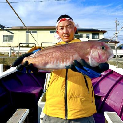 ふるさと納税 湖西市 【遠州灘産】白甘鯛の一夜干し　約150g×10枚 |  | 02