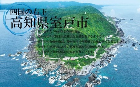 金目鯛 干物 1尾 常温 一夜干し 金目鯛干物セット 海鮮 干物セット 魚 干物 国産 高級魚 真空パック 個包装 グリル焼き 焼くだけ 簡単調理 お取り寄せグルメ 冷凍干物 ご自宅用 贈答用 海鮮ギ