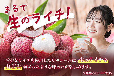 酒 リキュール 産地めぐり ライチ お酒 720ml 6本 E266